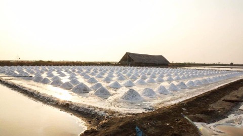 นาเกลือสมุทรสาคร