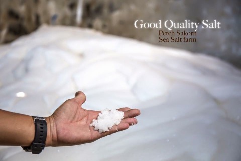 ขายเกลือทุกชนิด กรุงเทพ