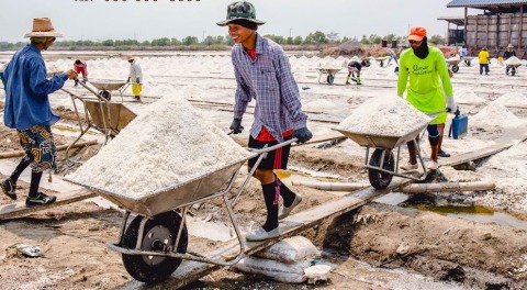 เกลือเพชรสาคร