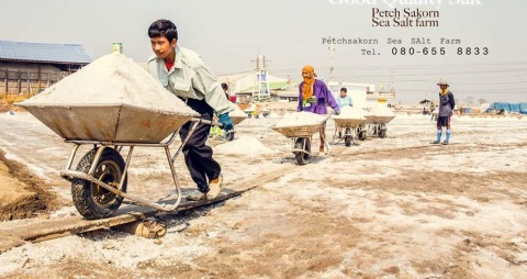 เกลือเพชรสาคร