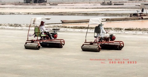 ผลิต-จำหน่ายเกลือทะเลทุกชนิด